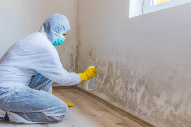 Licensed Crawl Space Mold Removal service in Runnemede, NJ - WQB Mold Removal