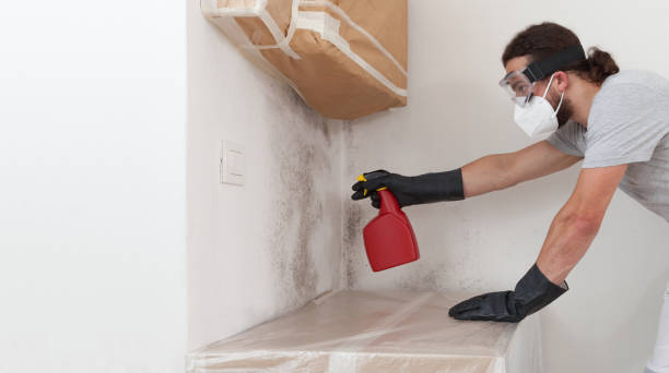 Professional Crawl Space Mold Removal technician working in Runnemede, NJ