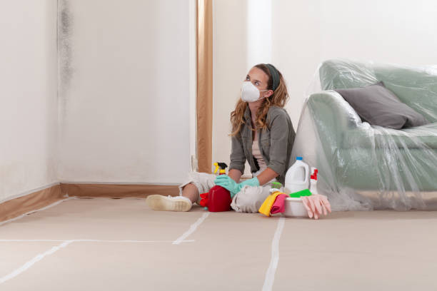 Reliable Crawl Space Mold Removal contractor in Runnemede, NJ by WQB Mold Removal