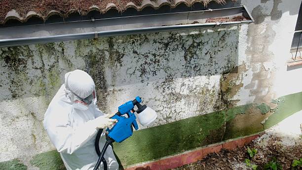 Top rated local Crawl Space Mold Removal specialists in Runnemede, NJ